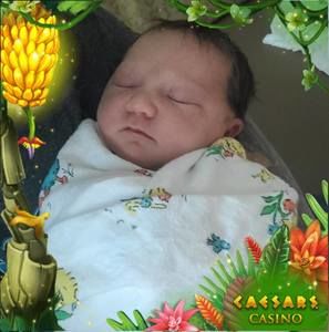 Meet your Posher, Charlene